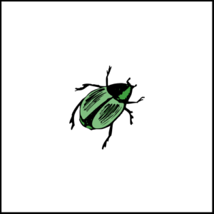 55+ Easy Bug Doodle Ideas to Draw - Artist Been