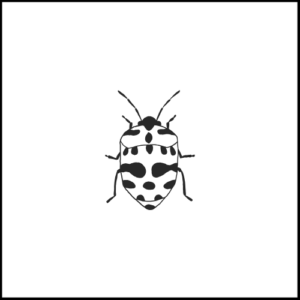55+ Easy Bug Doodle Ideas to Draw - Artist Been