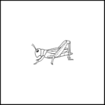 55+ Easy Bug Doodle Ideas to Draw - Artist Been