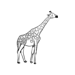 33+ Gigantic Giraffe Drawing Ideas for Beginners - Artist Been