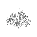 Sea Drawing Plan 33+ Sensational Sea Drawing Ideas for Beginners - Artist Been