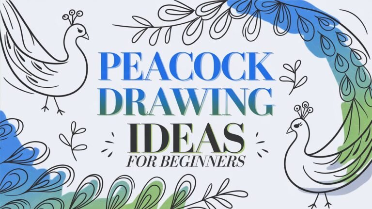 Peacock Drawing Ideas for Beginners