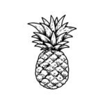 32+ Pure Pineapple Drawing Ideas for Beginners - Artist Been