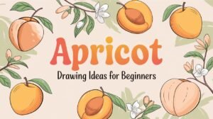 Apricot Drawing Ideas for Beginners